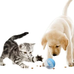 Engage-N-Treat Interactive Pet Food Ball